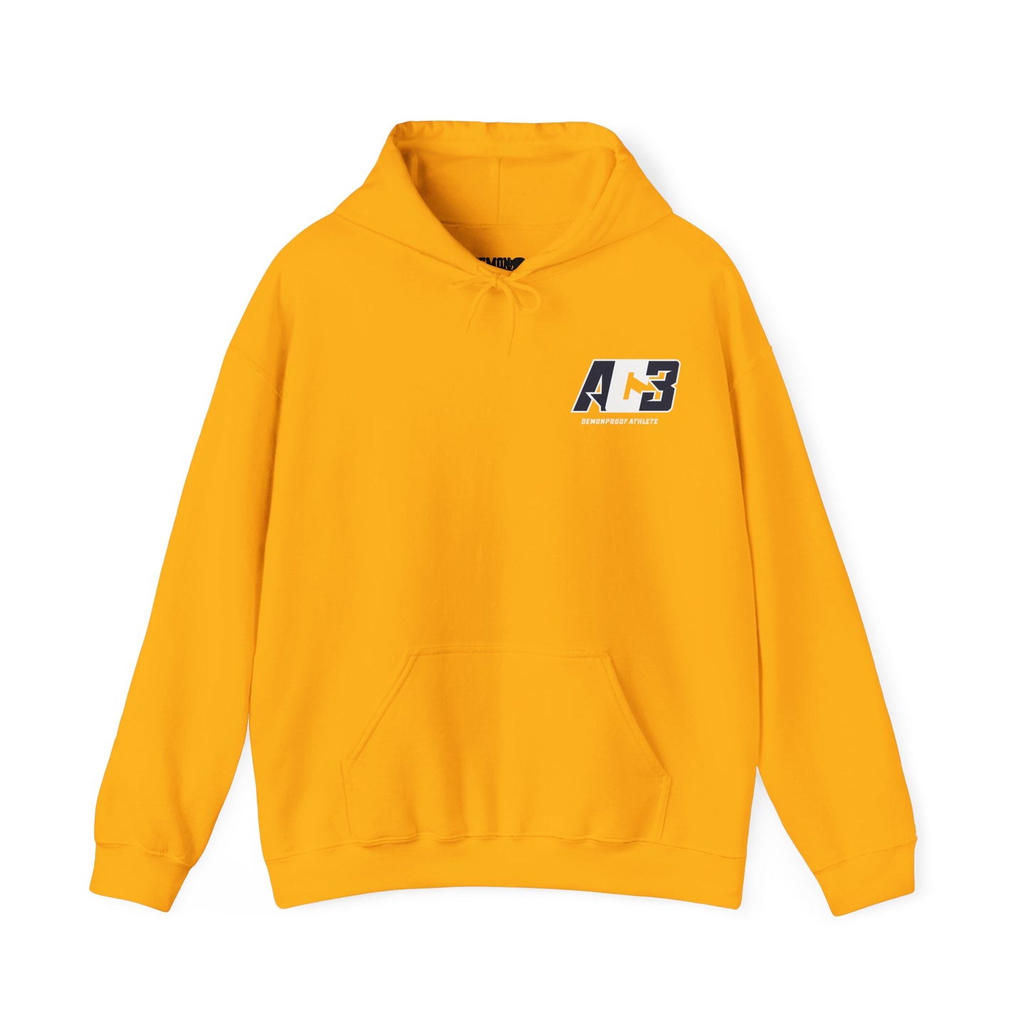 AC3 Hoodie