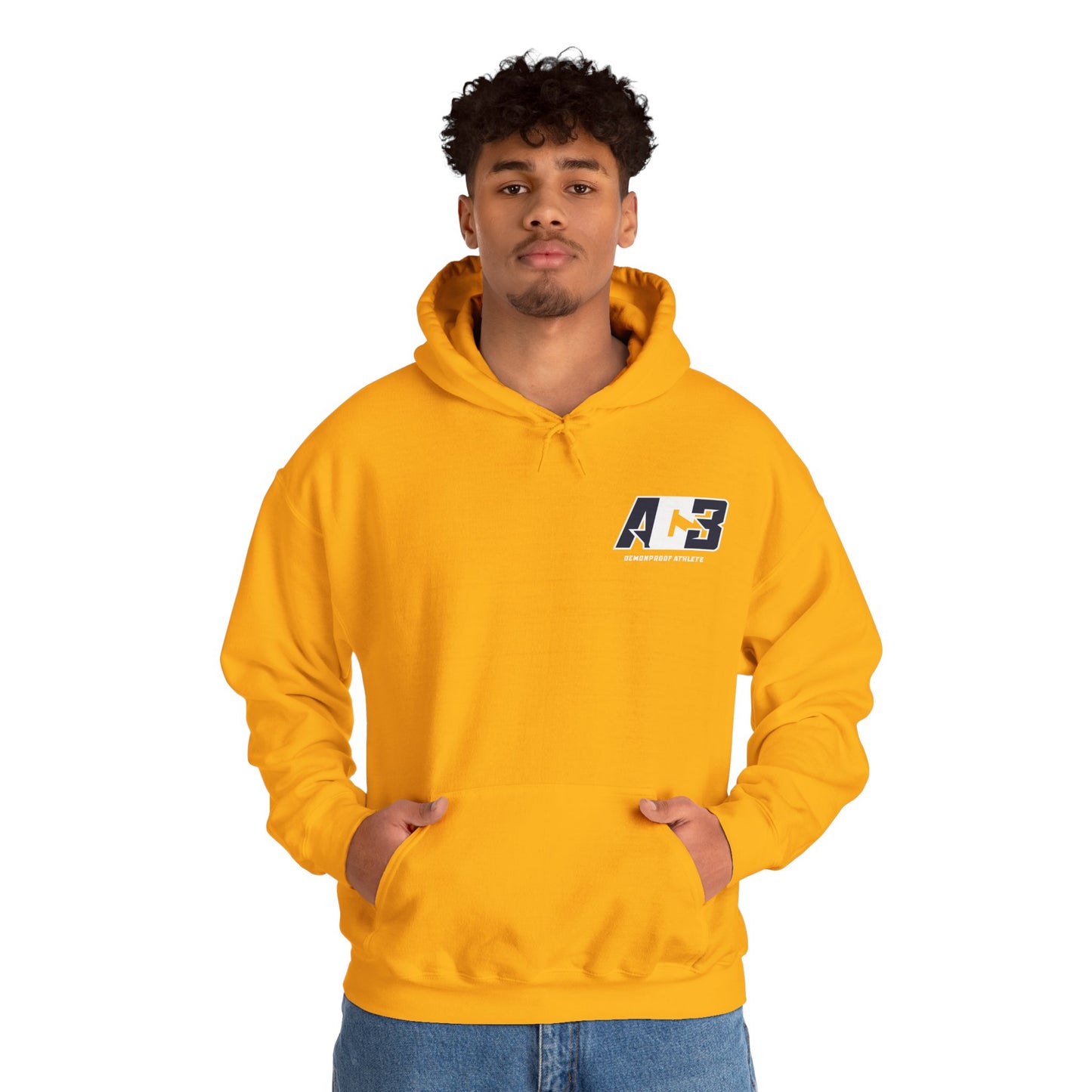 AC3 Hoodie