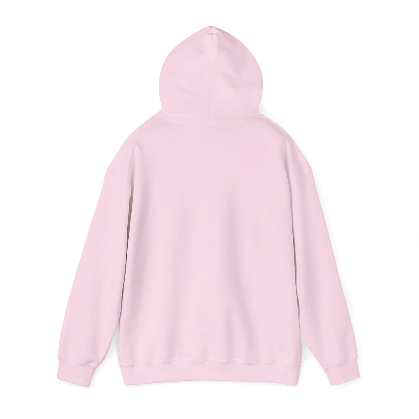 PINK: FIND A WAY HOODIE