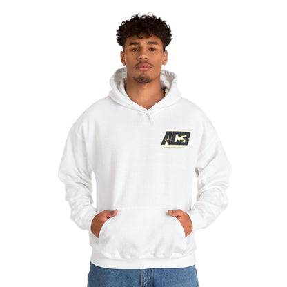 AC3 Hoodie