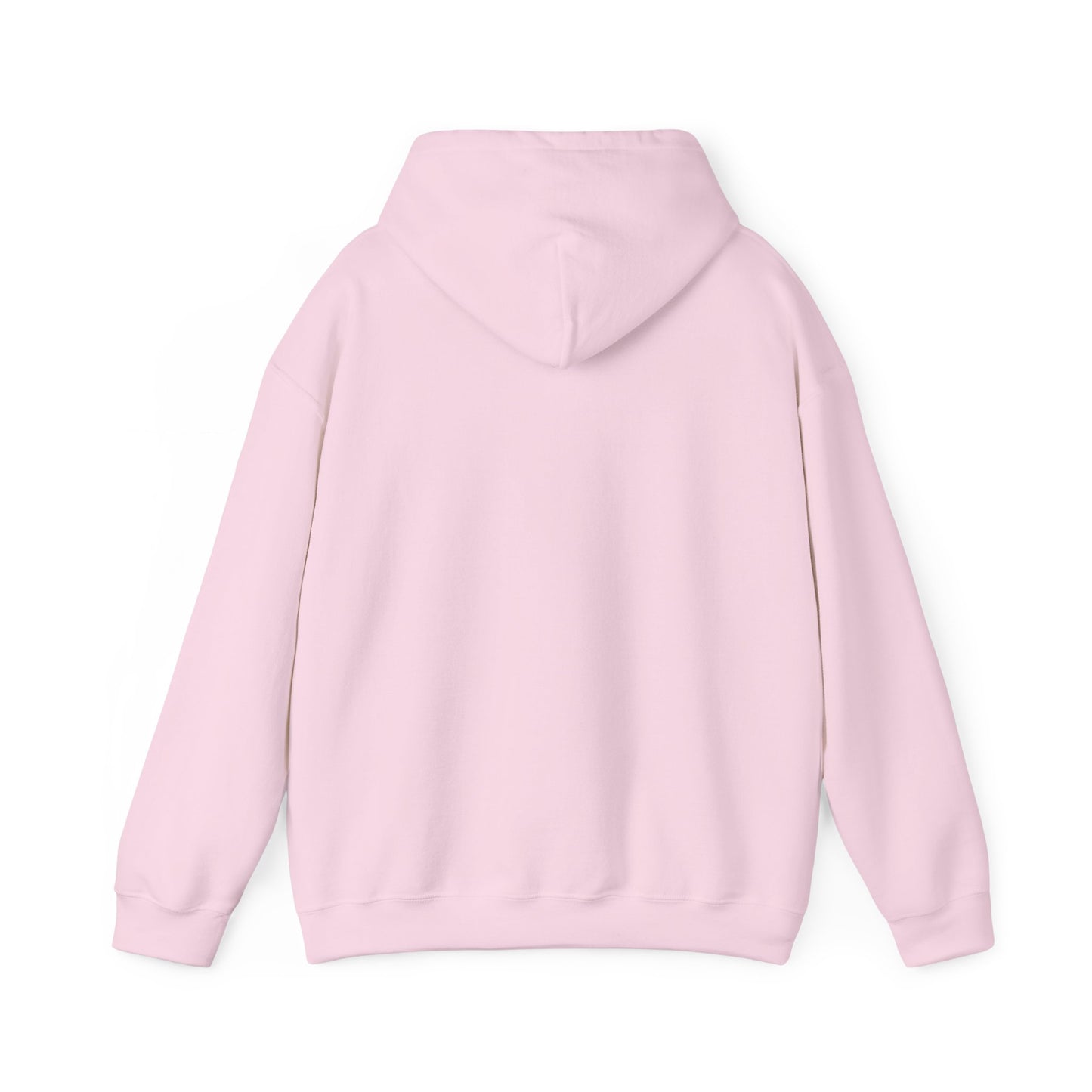 PINK: FIND A WAY HOODIE