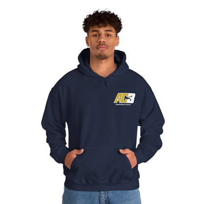 AC3 Hoodie